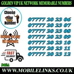 Golden Numbers VIP UK EE Network SIM Card – Easy to Remember Numbers- B462A